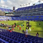 thumbnail of Section 151