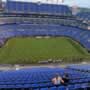 thumbnail of Section 501