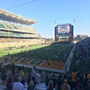 thumbnail of Section 113