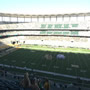 thumbnail of Section 305