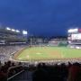 thumbnail of Section 218