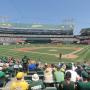 thumbnail of Section 118