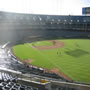 thumbnail of Section 204