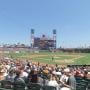 thumbnail of Section 118