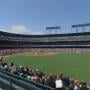 thumbnail of Section 145