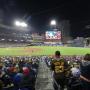 thumbnail of Section 113