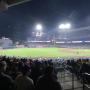 thumbnail of Section 118