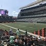 thumbnail of Section 132