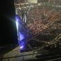 thumbnail of Section 225