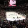 thumbnail of Section 113