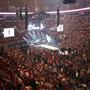 thumbnail of Section 203