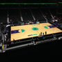 thumbnail of Section 203