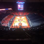 thumbnail of Section 213