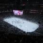 thumbnail of Section 209