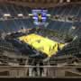 thumbnail of Section 206