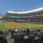 thumbnail of Section 126